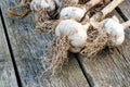 Close up of bunch of garlic on rustic wooden board.