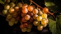 Close-up of a bunch of grapes on grapevine