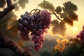 Close up Bunch of grapes in vineyard during sunset, Generative AI Royalty Free Stock Photo