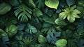 A close up of a bunch of green leaves on the ground, AI Royalty Free Stock Photo