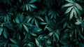 A close up of a bunch of green leaves on the ground, AI Royalty Free Stock Photo