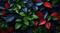 A close up of a bunch of leaves that are red, green and blue, AI