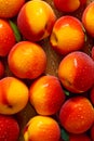 Close up of bunch of peaches with water droplets on them and green leaves. Generative AI Royalty Free Stock Photo