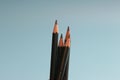 a close up of a bunch of pencils