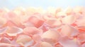 A close up of a bunch of pink rose petals, AI