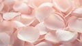 A close up of a bunch of pink rose petals, AI