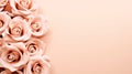 A close up of a bunch of pink roses, peach fuzz, trendy color of the year 2024. Royalty Free Stock Photo