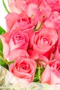 A close up of a bunch of pink roses