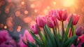 A close up of a bunch of pink tulips in the sun, AI Royalty Free Stock Photo