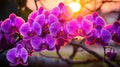 A close up of a bunch of purple flowers in the sun, AI