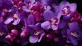 A close up of a bunch of purple flowers with water droplets on them, AI