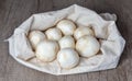 Agaricus bisporus - White Mushroom