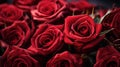 A close up of a bunch of red roses that are sitting on top of each other, AI Royalty Free Stock Photo