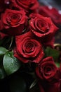 A close up of a bunch of red roses with water droplets on them, AI Royalty Free Stock Photo