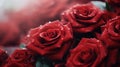 A close up of a bunch of red roses with water droplets on them, AI Royalty Free Stock Photo