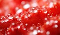Close-Up of a Bunch of Red Strawberries Royalty Free Stock Photo