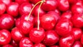 Close up of a bunch of ripe cherries with stems and leaves. Big collection of red berries. Ripe background. Selective focus Royalty Free Stock Photo