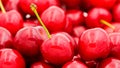 Close up of a bunch of ripe cherries with stems and leaves. Big collection of red berries. Ripe background. Selective focus Royalty Free Stock Photo