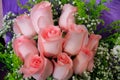 Close-up of a bunch of roses. Rose bouquet