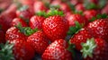 Close up of a bunch of strawberries Royalty Free Stock Photo