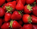 close up of a bunch of strawberries.