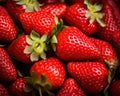 close up of a bunch of strawberries.