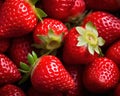 close up of a bunch of strawberries.