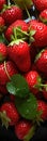 A close up of a bunch of strawberries. Sweet fruits background Royalty Free Stock Photo