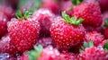 A close up of a bunch of strawberries with water droplets on them, AI Royalty Free Stock Photo