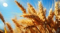 A close up of a bunch of wheat. Generative AI image.