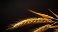 A close up of a bunch of wheat on the stalk, AI
