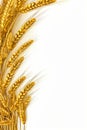 Close up of bunch of wheat on white background. Generative AI