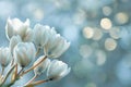 A close up of a bunch of white flowers with blurry background, AI