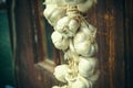 Close up of bunch of white garlic Allium sativum. Harvest time. drying on wooden background. Hanging to dry. Pile of garlic bulb Royalty Free Stock Photo