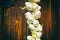 Close up of bunch of white garlic Allium sativum. Harvest time. drying on wooden background. Hanging to dry. Pile of garlic bulb Royalty Free Stock Photo