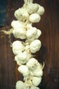 Close up of bunch of white garlic Allium sativum. Harvest time. drying on wooden background. Hanging to dry. Pile of garlic bulb Royalty Free Stock Photo