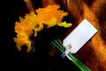 Close up of bunch of yellow daffodils tied together with string