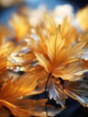 a close up of a bunch of yellow leaves