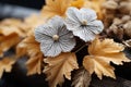 a close up of a bunch of yellow and white flowers