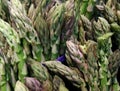 Close-up bunches of green asparagus in the market Royalty Free Stock Photo