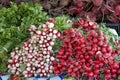 Close up on bunches of red and white radishes on display at farmers market