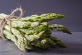 Close-up of a bundle of asparagus tied with twine on a gray slate surface Royalty Free Stock Photo