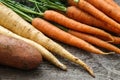 Close up of a bundle of carrots, parsnip and sweet potato Royalty Free Stock Photo
