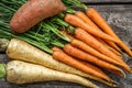 Close up of a bundle of carrots, parsnip and sweet potato Royalty Free Stock Photo