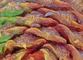 Close up of a Bunya Pine Cone