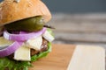 Close up of burger with cottage cheese and jalapeno pepper Royalty Free Stock Photo