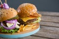 Close up of burgers with french fries Royalty Free Stock Photo