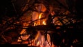 Close-up of burning branches, firewood and logs. Beautiful blazing fire in the night. Yellow-orange flames Royalty Free Stock Photo