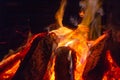 Close up of a burning camp fire Royalty Free Stock Photo