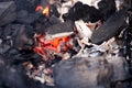 Close-up of burning charcoal Royalty Free Stock Photo